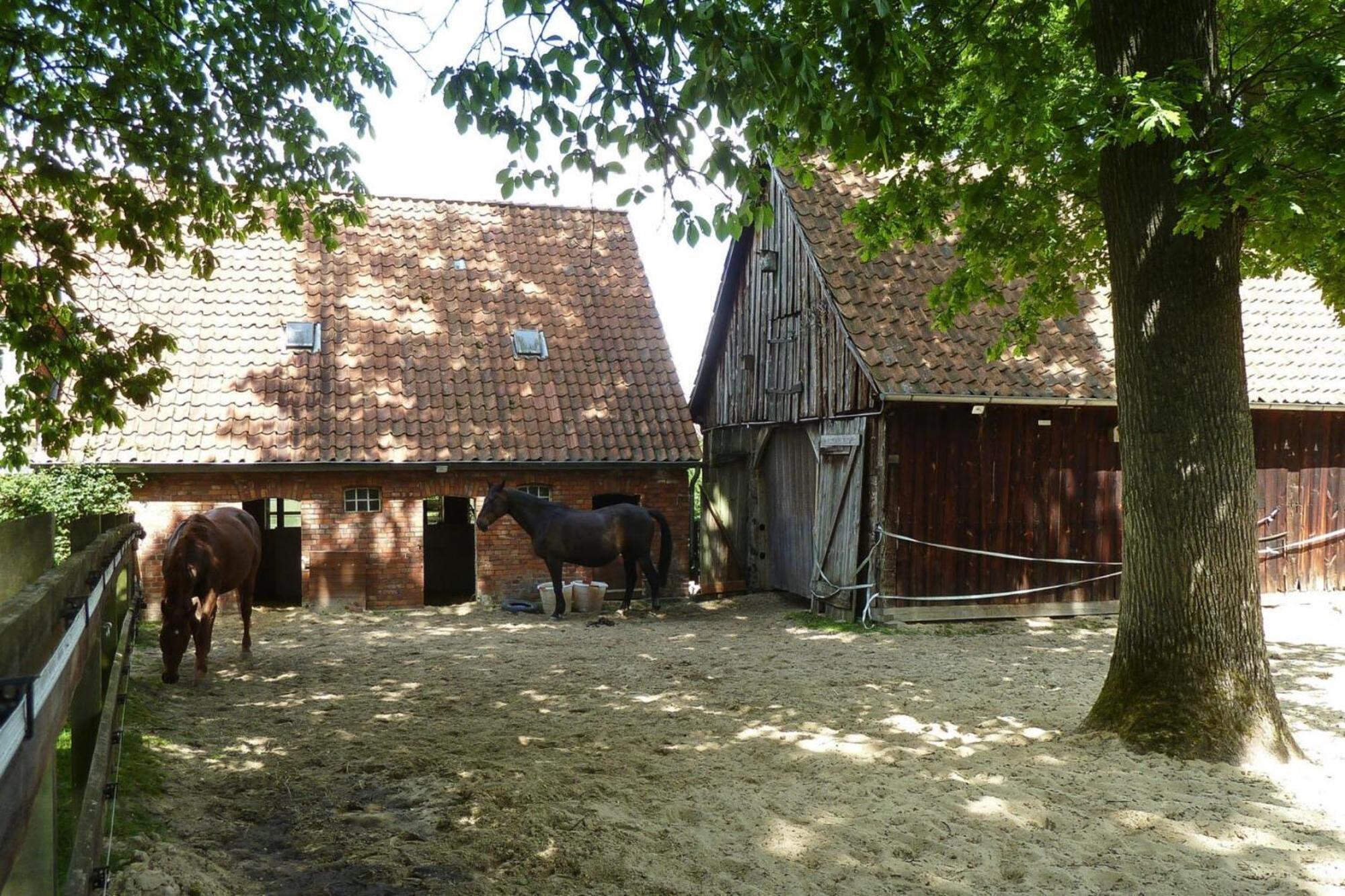 Ferienwohnung In Dorfmark Luaran gambar